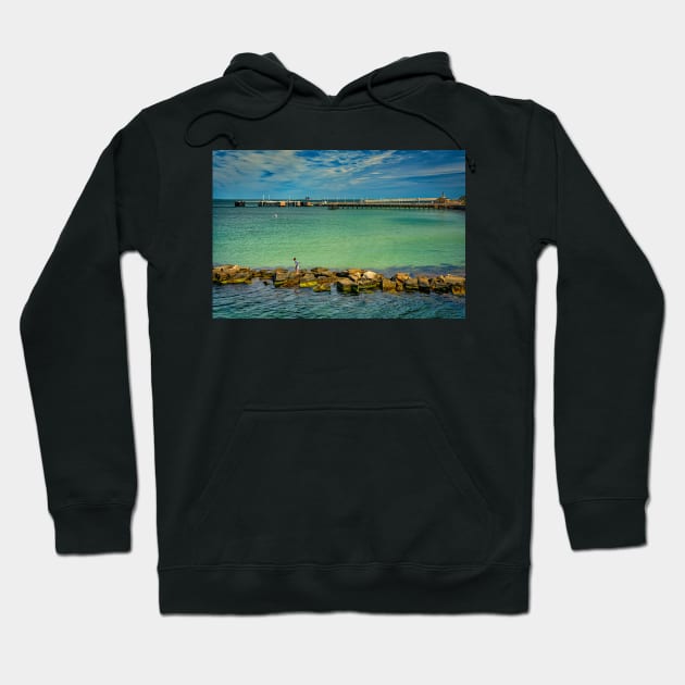 Going Fishing, Martha's Vineyard Hoodie by Gestalt Imagery